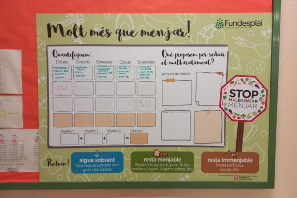taller-escola-el-cim-teia-281024 (3)